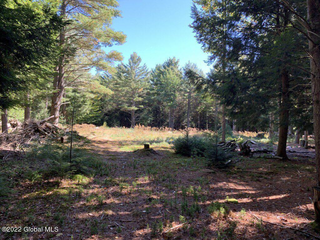 0 Wileytown Road Middle Grove, NY 12850 - Photo 8 of 30 8