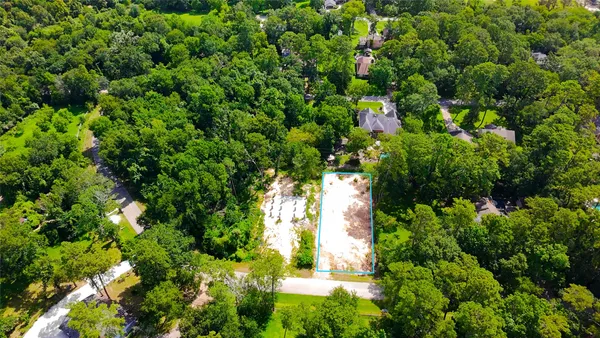 a view of a garden with plants