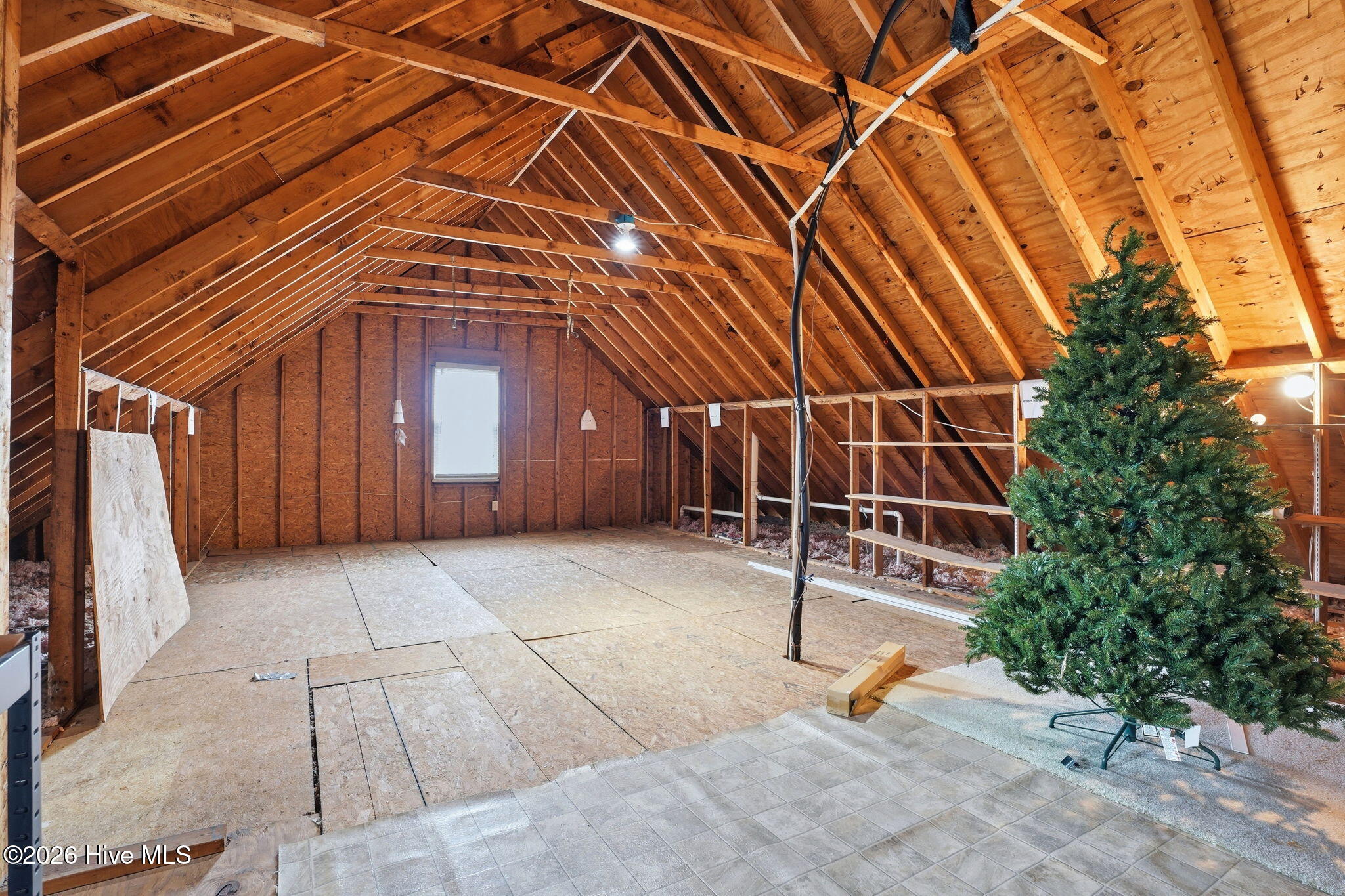 512 Buck Swamp Road Goldsboro, NC 27530 - Photo 45 of 48 48-web-or-mls-DSC09150