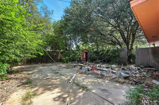 a view of a backyard with plants and trees