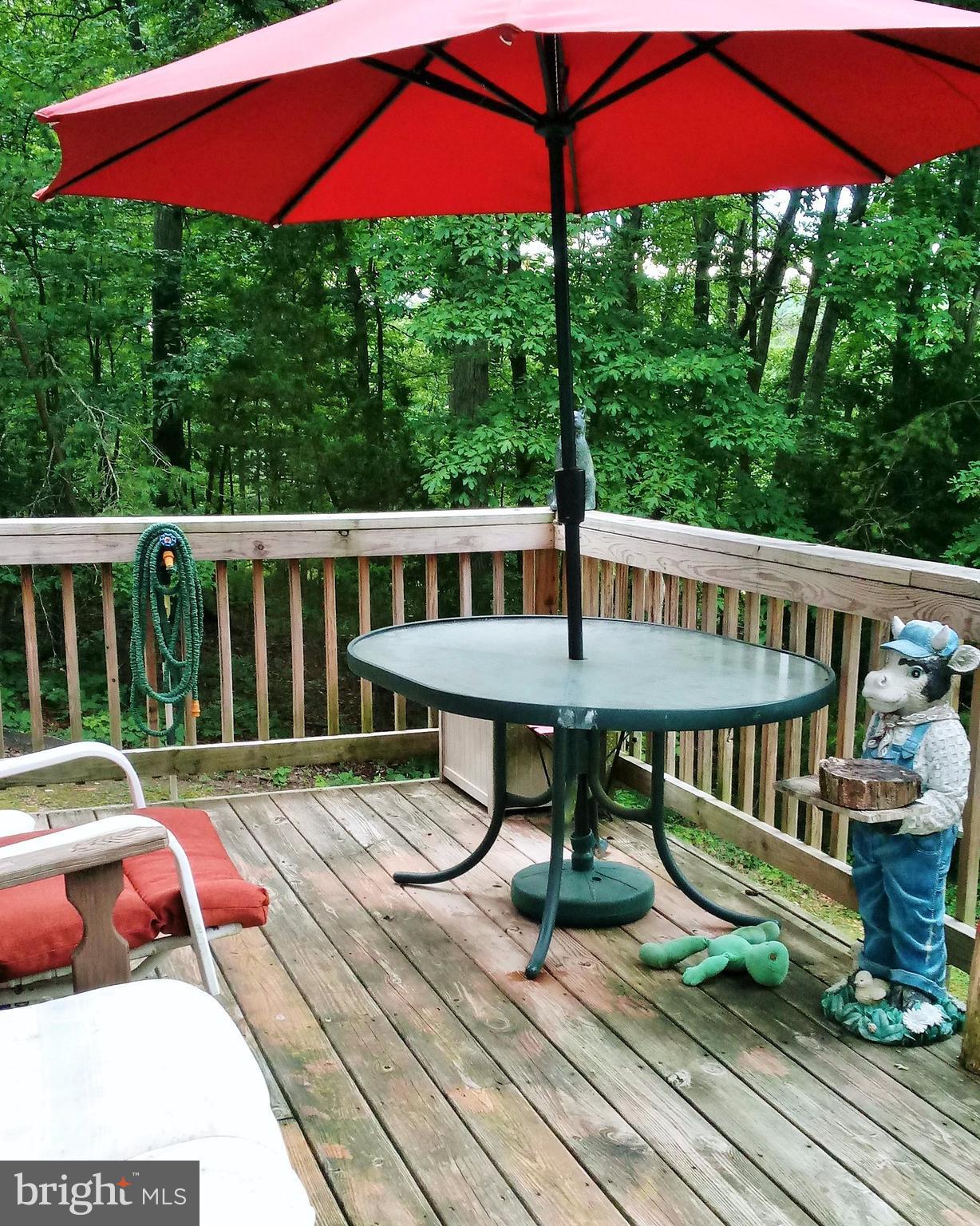 7 Hopkins Bluff Road Front Royal, VA 22630 - Photo 16 of 22 Rear Deck
