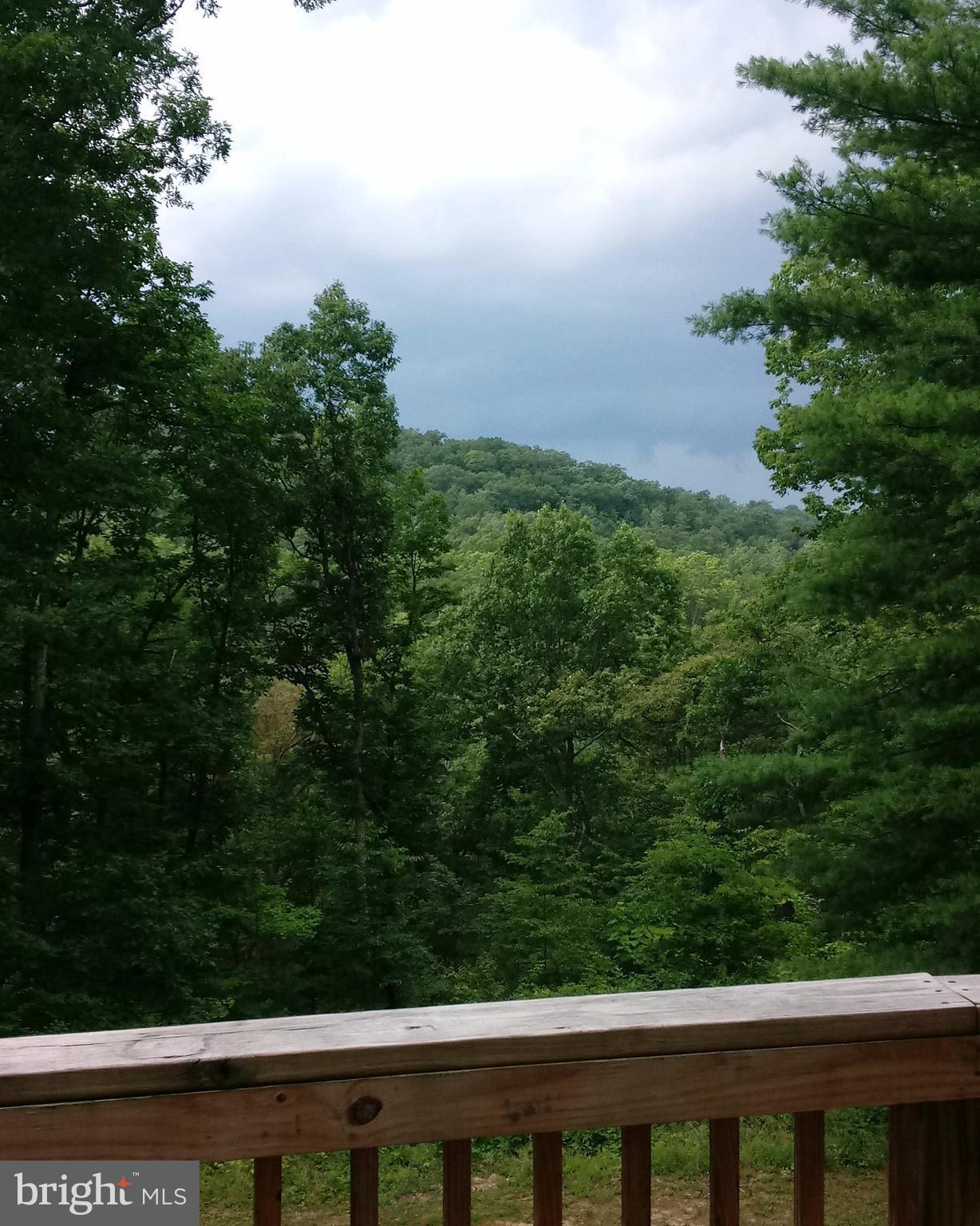 7 Hopkins Bluff Road Front Royal, VA 22630 - Photo 17 of 22 View