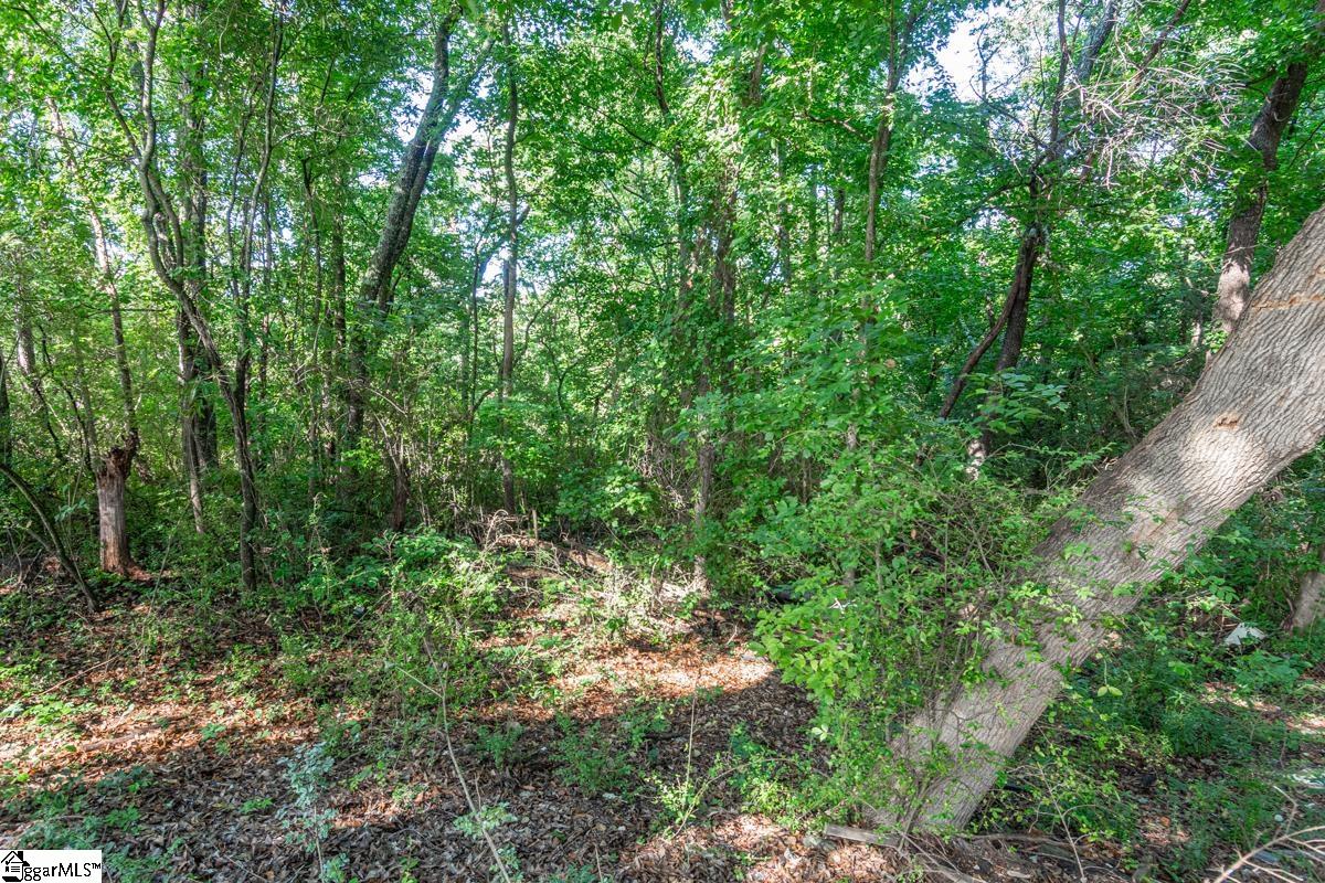 663 Arlington Road Greer, SC 29651 - Photo 10 of 22