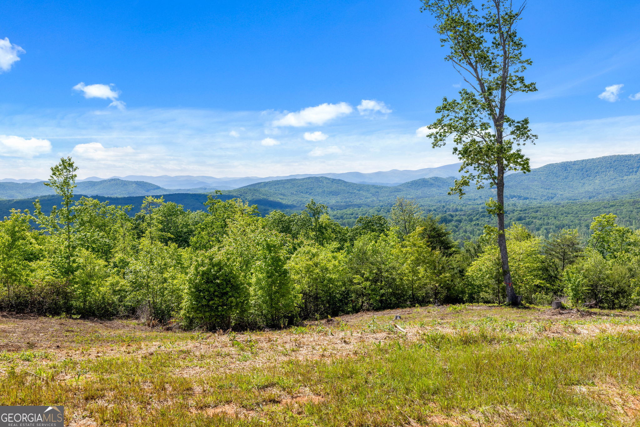 135 Mountain Ridge Drive Clarkesville, GA 30523 - Photo 58 of 85