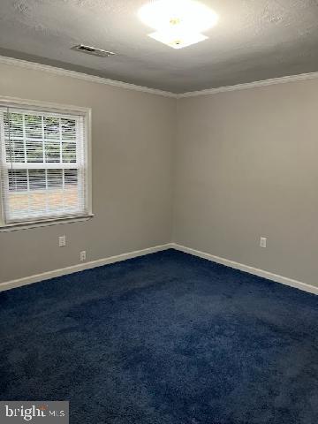 13809 Post Oak Road Spotsylvania, VA 22551 - Photo 34 of 41