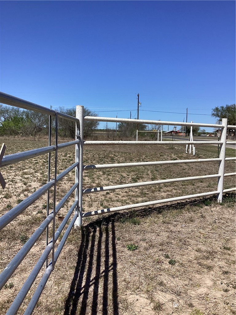 2227 F Rd 2295 Benavides, TX 78341 - Photo 4 of 10