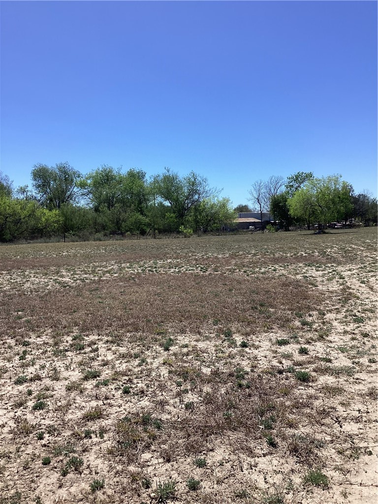 2227 F Rd 2295 Benavides, TX 78341 - Photo 8 of 10