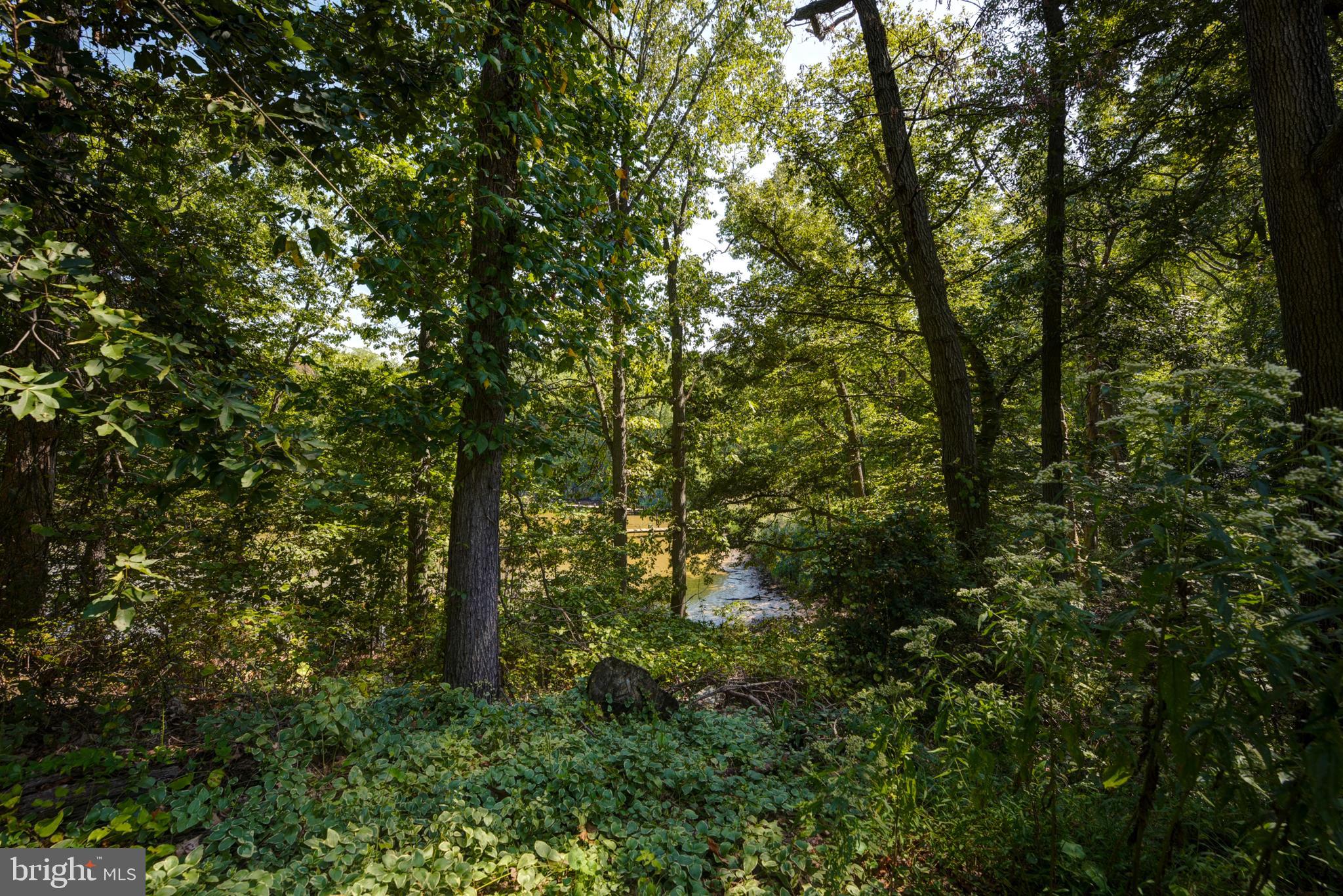 10699 Kasota Road Chestertown, MD 21620 - Photo 22 of 22 View of the water