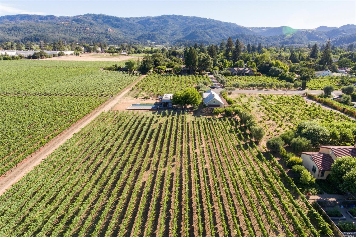 710 Kidd Ranch Road St. Helena, CA 94574 - Photo 1 of 1 Gallery Image 1