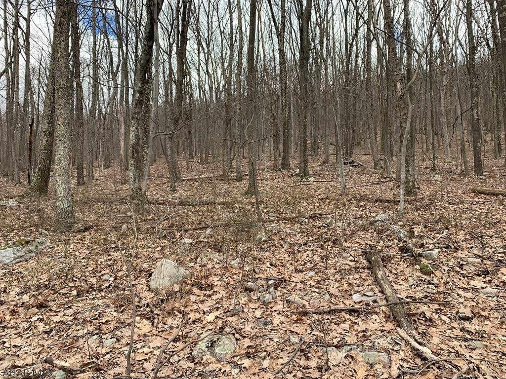 Lot 5 Monroe Mountain Road Clearville, PA 15535 - Photo 30 of 31 Gallery Image 30