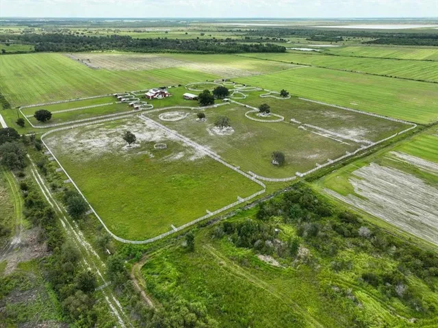 a view of a park with large trees