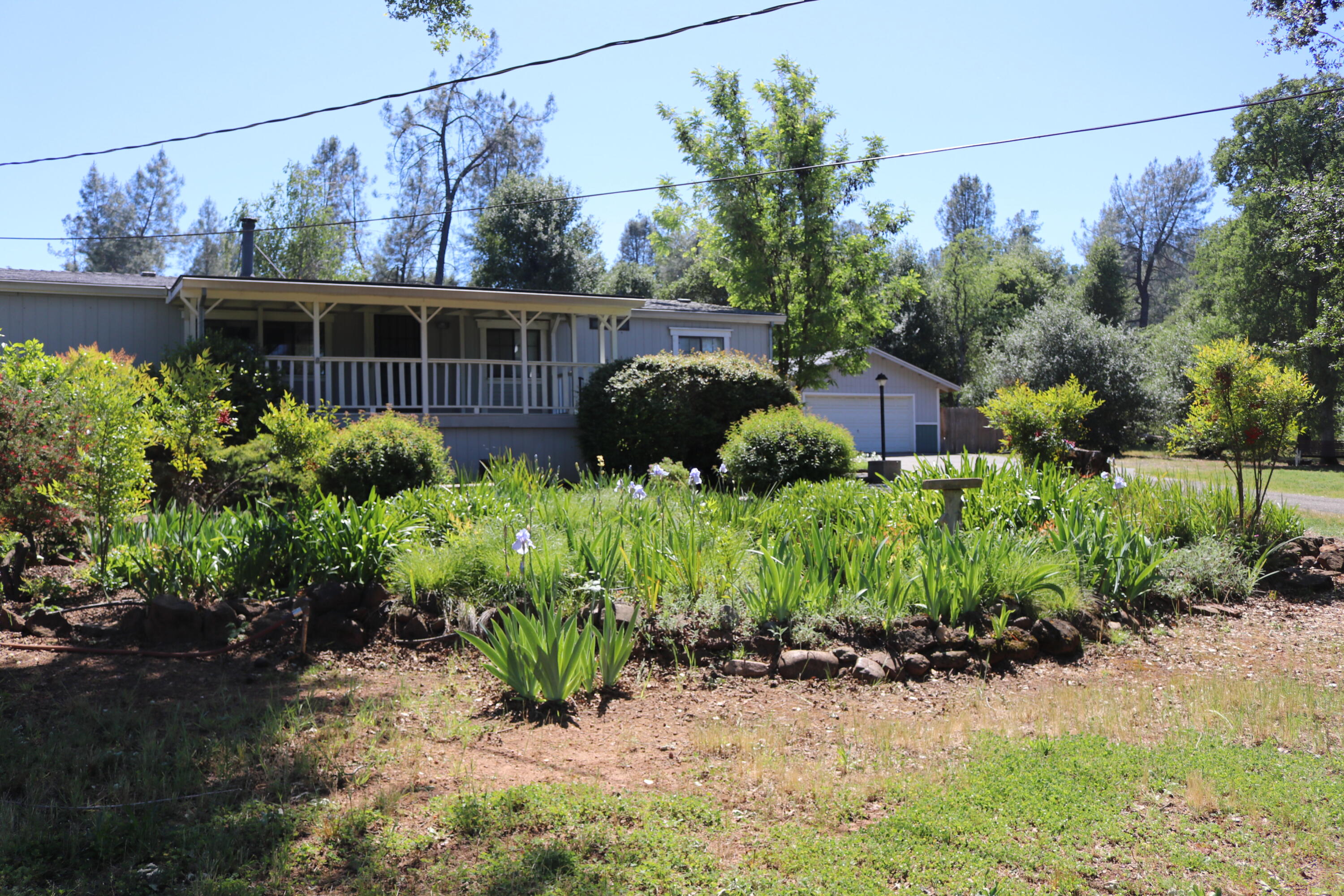 18659 Thomas Road Anderson, CA 96007 - Photo 3 of 45 Front of Home