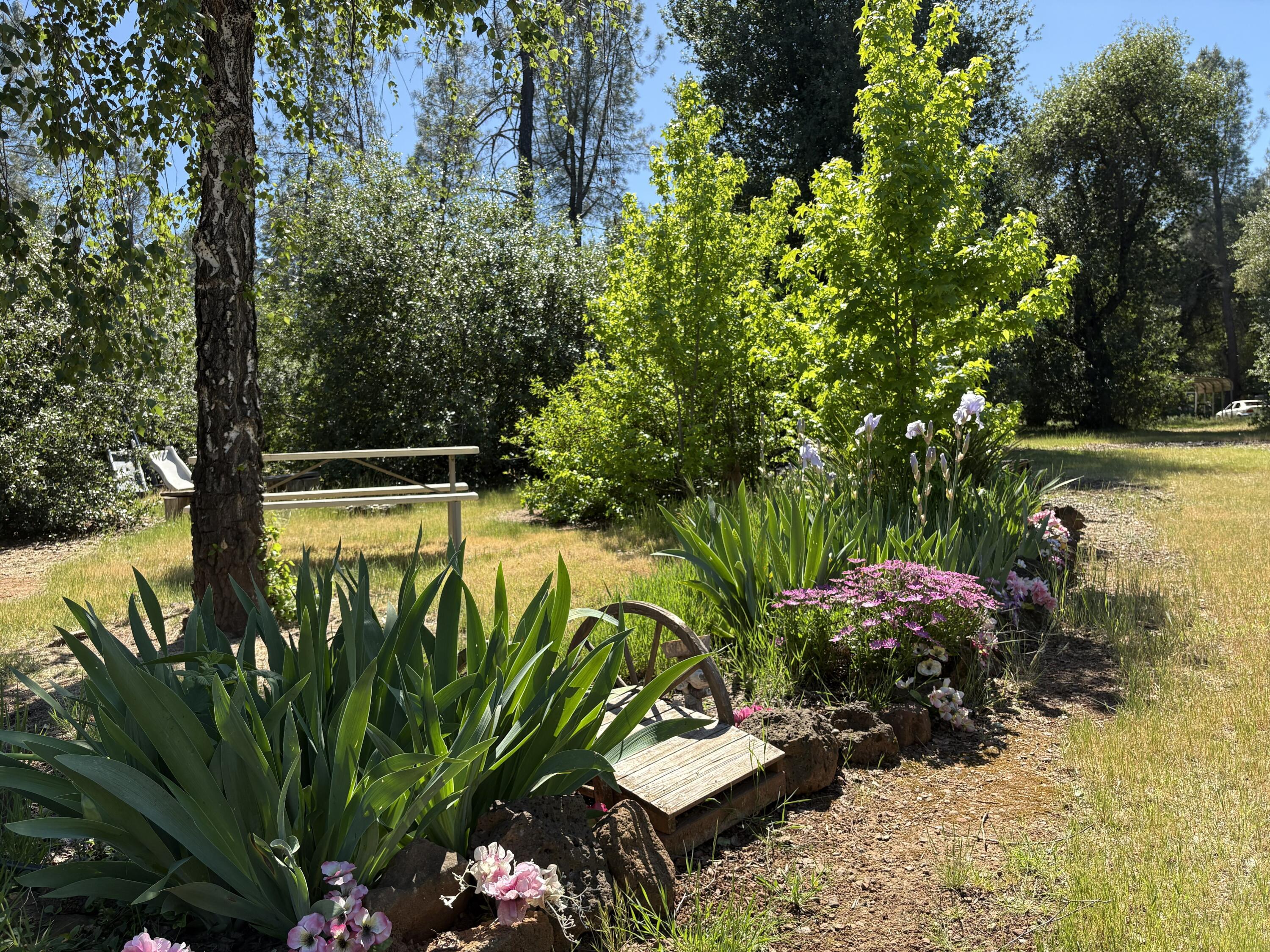 18659 Thomas Road Anderson, CA 96007 - Photo 39 of 45 Backyard