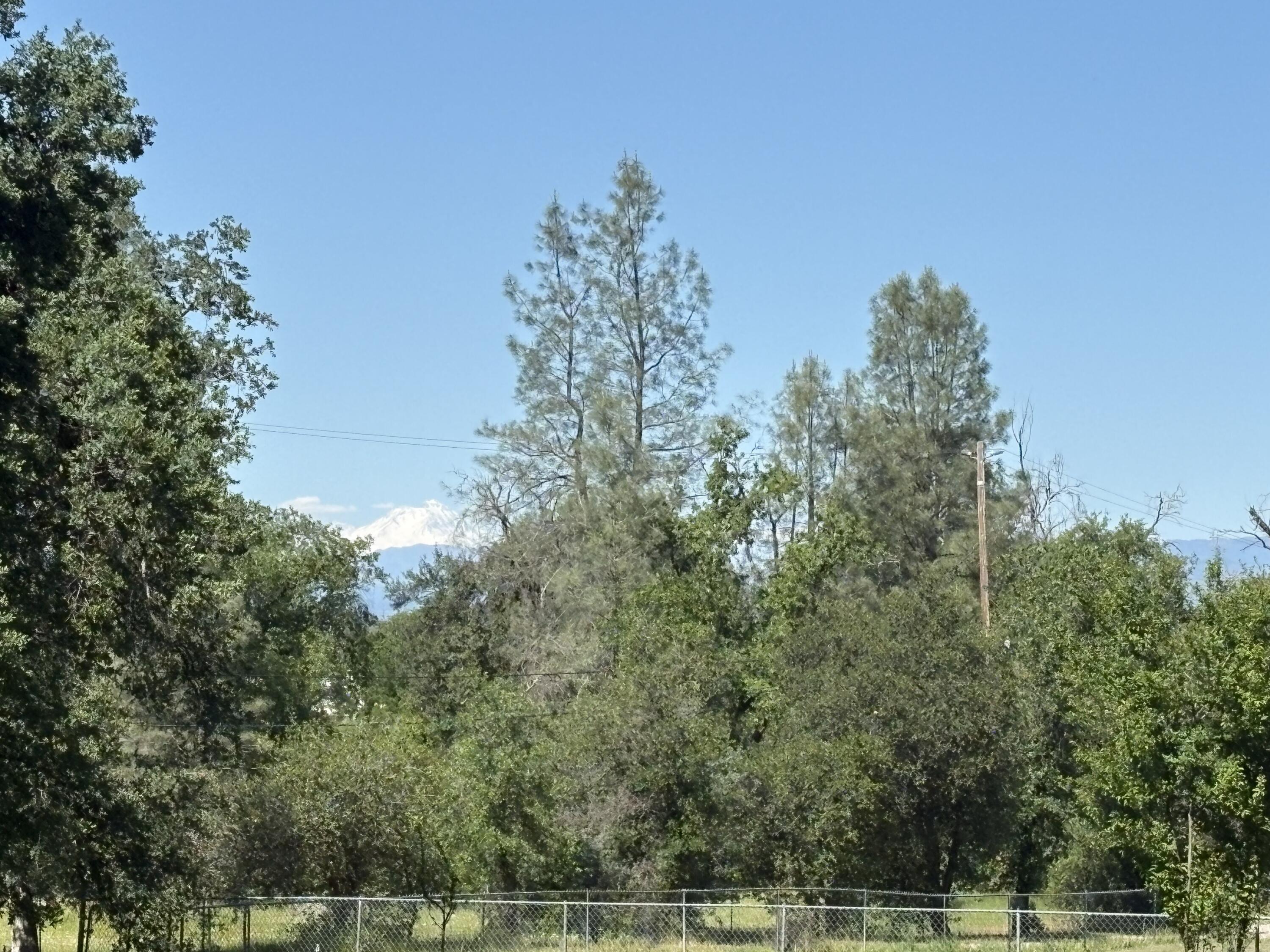 18659 Thomas Road Anderson, CA 96007 - Photo 40 of 45 Mt Shasta View - Front