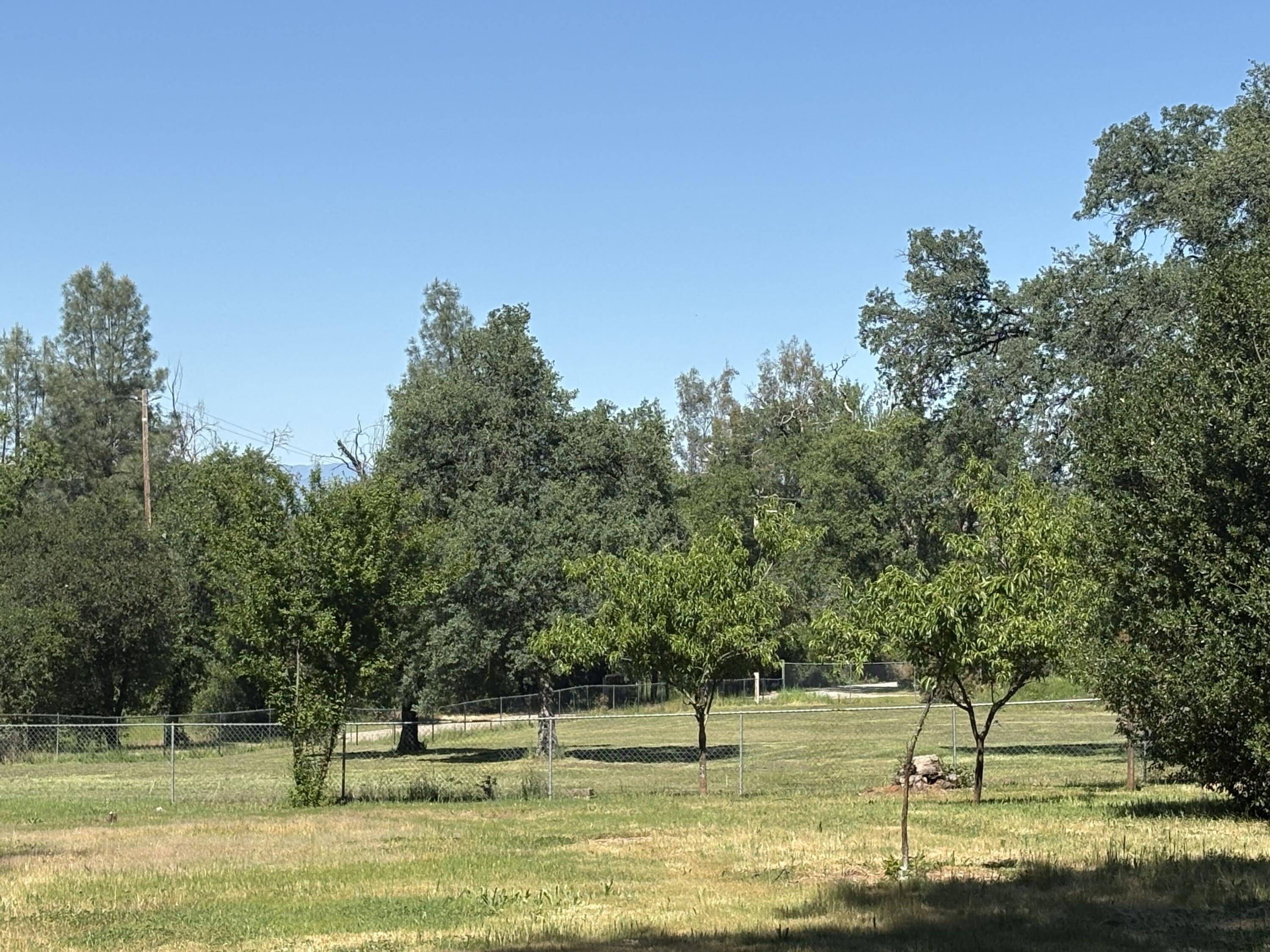 18659 Thomas Road Anderson, CA 96007 - Photo 41 of 45 Front Yard - Fruit Trees