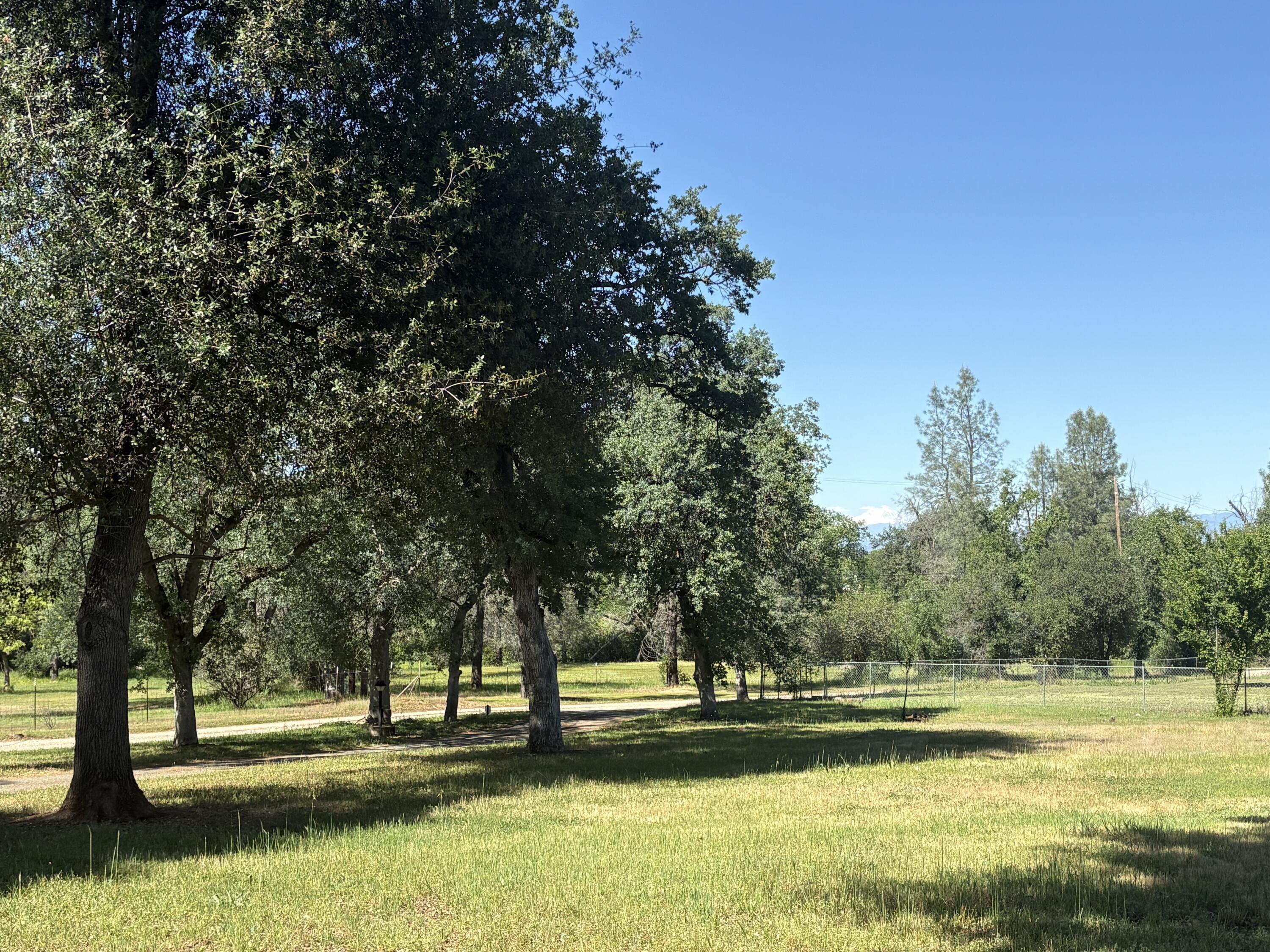 18659 Thomas Road Anderson, CA 96007 - Photo 42 of 45 Side Yard