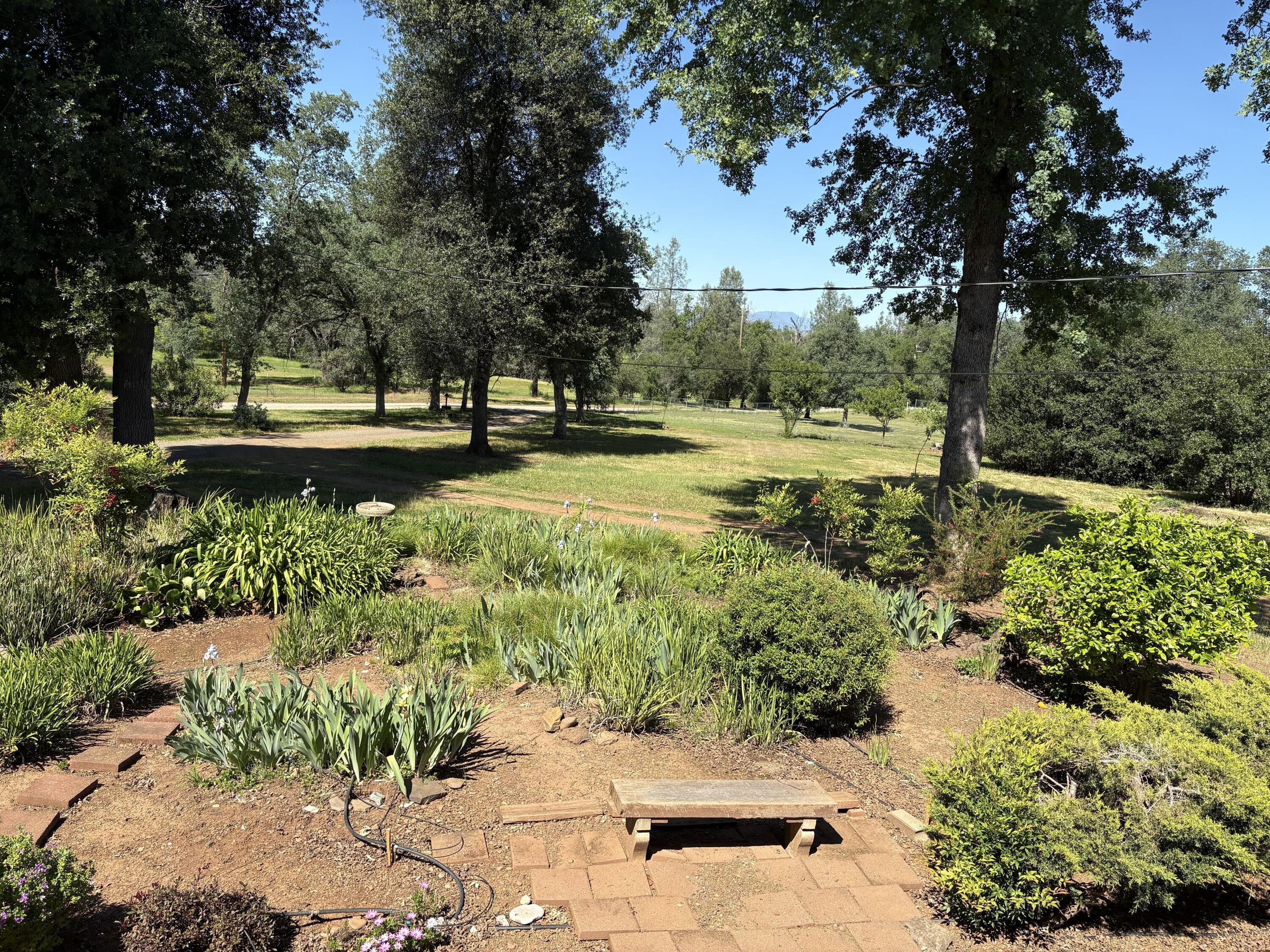 18659 Thomas Road Anderson, CA 96007 - Photo 5 of 45 Mature Landscaping in Front Yard