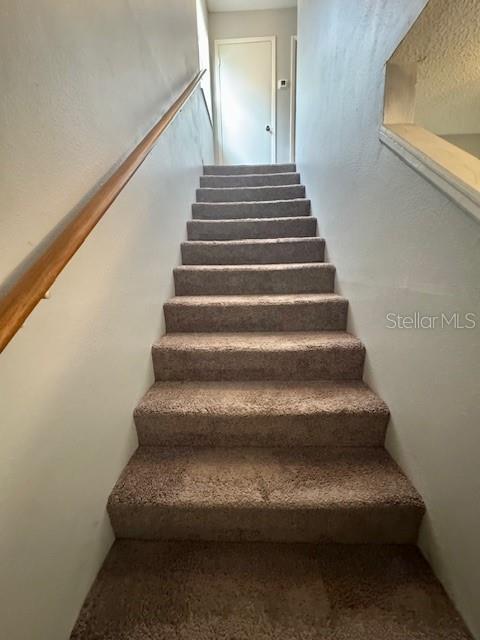 144 Douglas Road West, Unit F Oldsmar, FL 34677 - Photo 12 of 19 Gallery Image 12