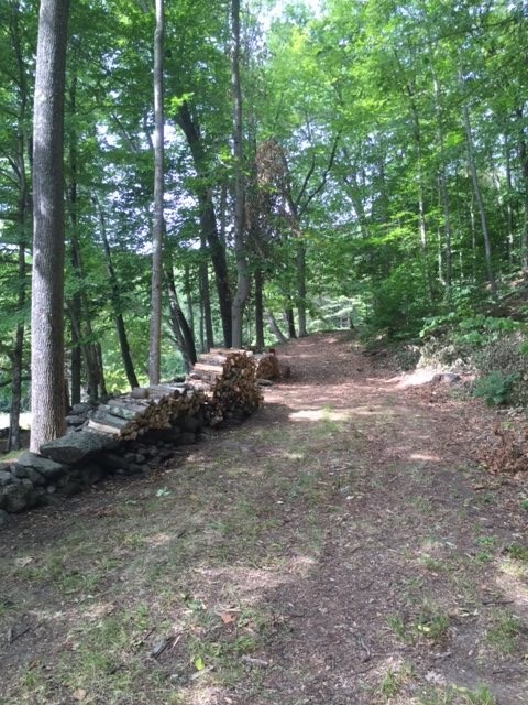 411 Hopkins Road Dummerston, VT 05301 - Photo 25 of 32