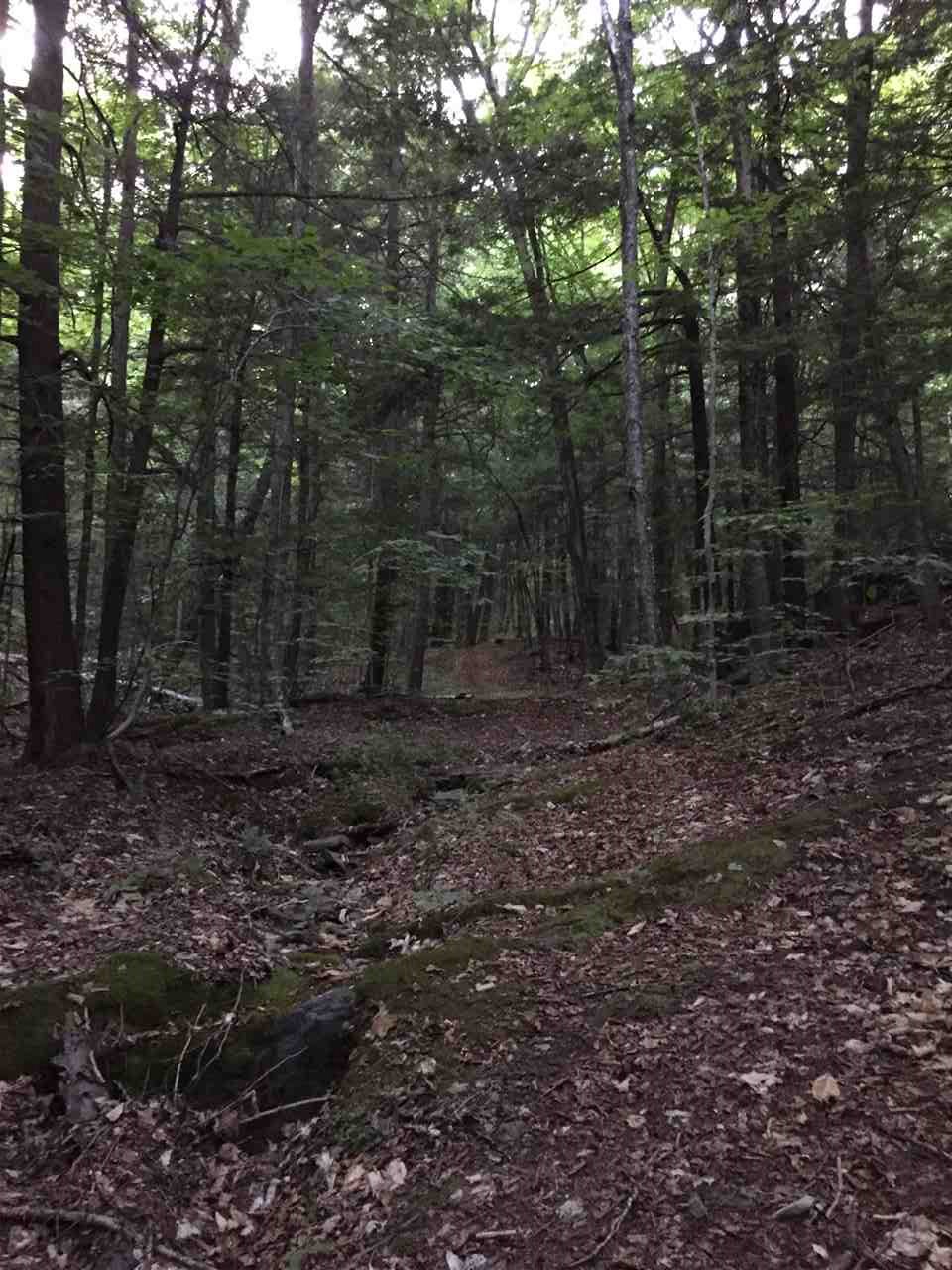 411 Hopkins Road Dummerston, VT 05301 - Photo 26 of 32