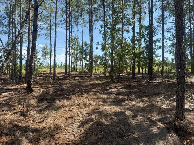 $33,900 | 3 Keys Lane, Unit KF 3, Kershaw, SC 29067