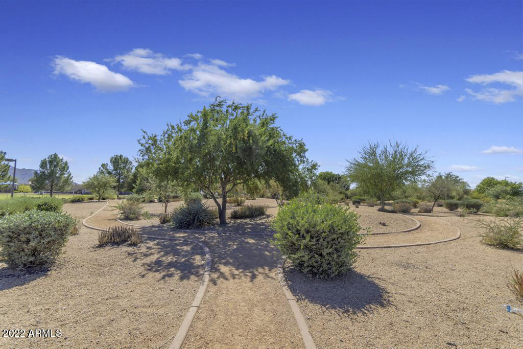3160 East Blue Ridge Way Gilbert, AZ 85298 - Photo 42 of 43 044BlueRidgeWay001
