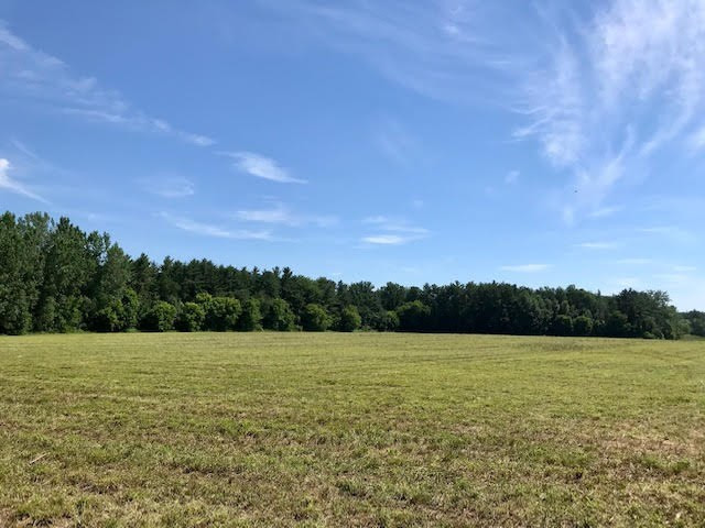 0 Bear Swamp Road Peru, NY 12972 - Photo 18 of 19 Treeline on Back of Parcel from Baker Road facing