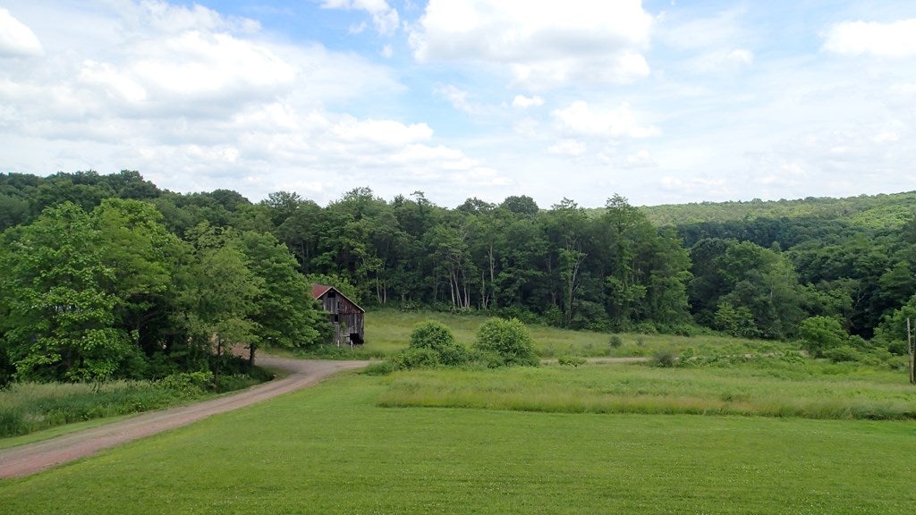 21004 Shore Valley Road Three Springs, PA 17264 - Photo 37 of 48 Gallery Image 37