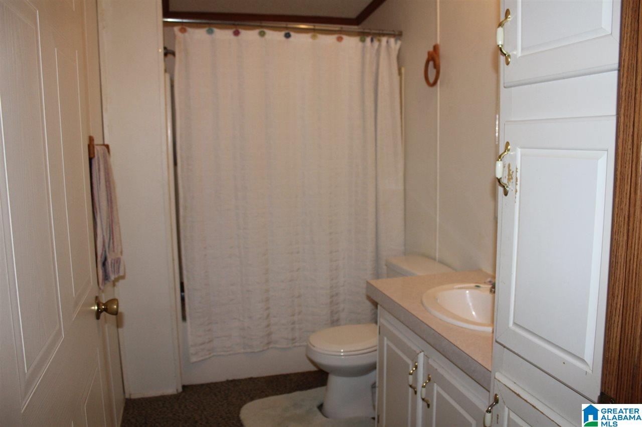 1623 Ripley Cutoff Road Carbon Hill, AL 35549 - Photo 23 of 38