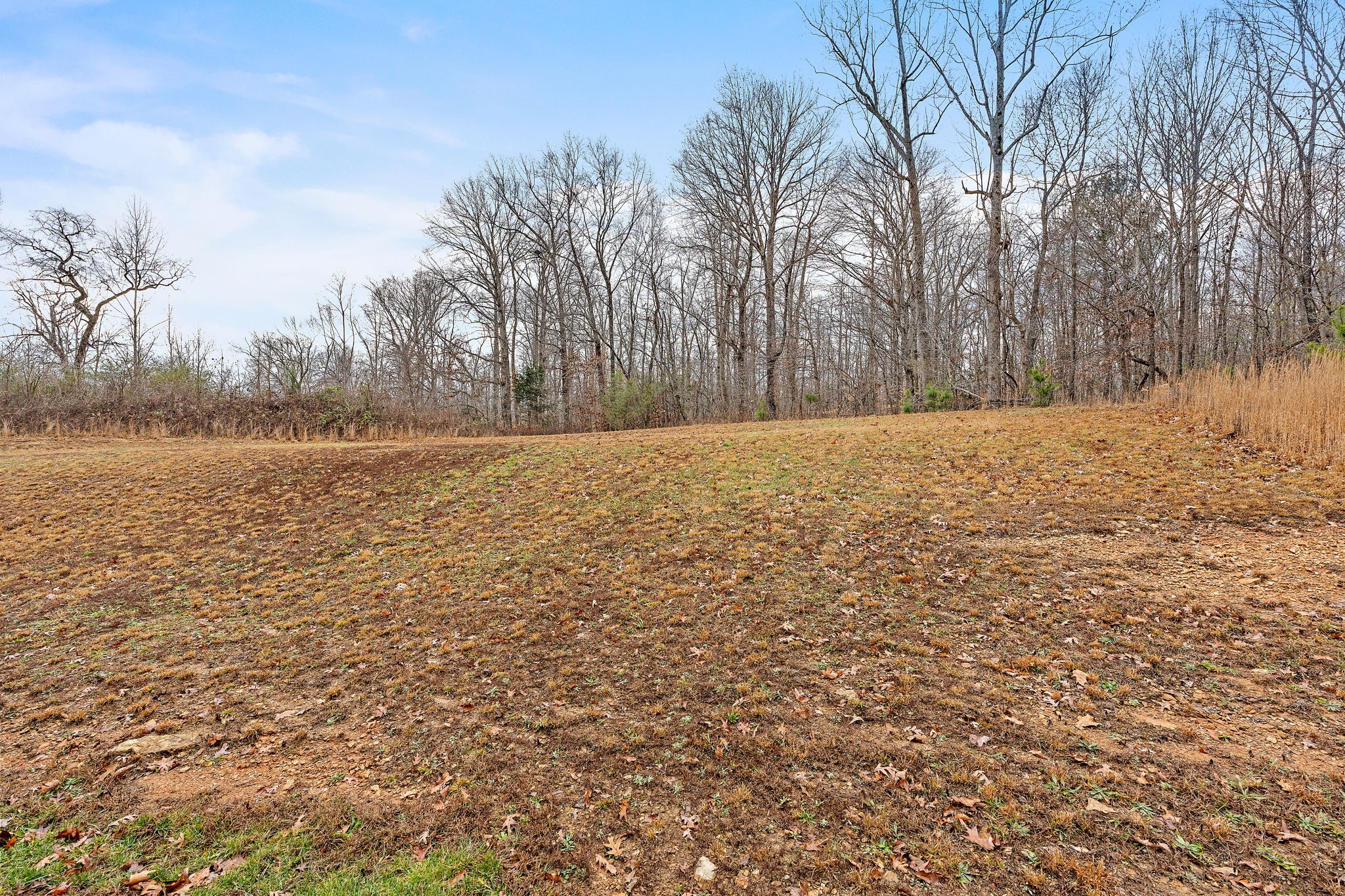 7205 Ragland Place Fairview, TN 37062 - Photo 36 of 36 Space behind the fence!