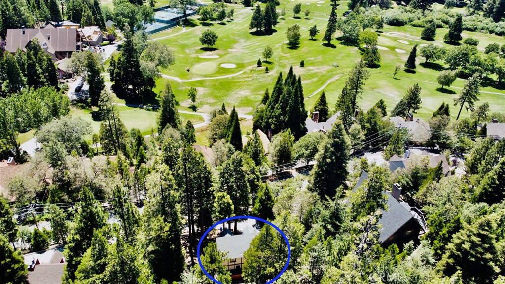 349 Golf Course Road Lake Arrowhead, CA 92352 - Photo 5 of 58 a bird view