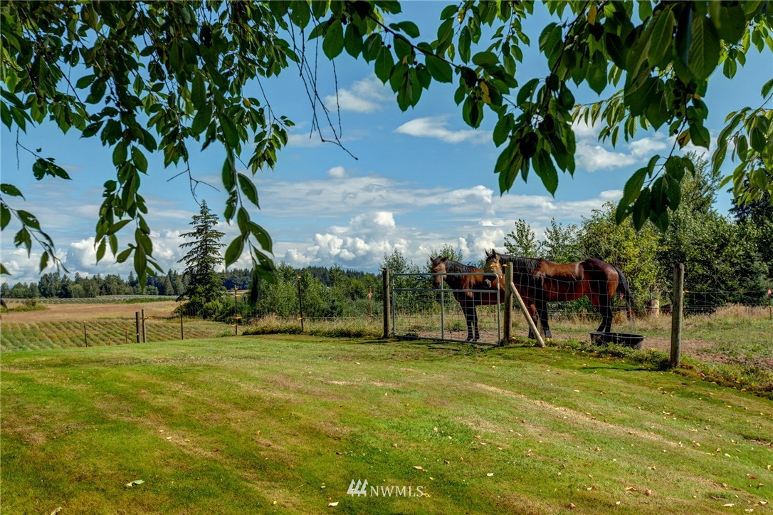 2740 East Badger Road Everson, WA 98247 - Photo 21 of 22 Gallery Image 21