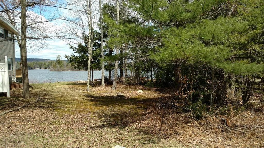 43 Plummer Drive Raymond, ME 04071 - Photo 6 of 18 77 feet of shared waterfront across...