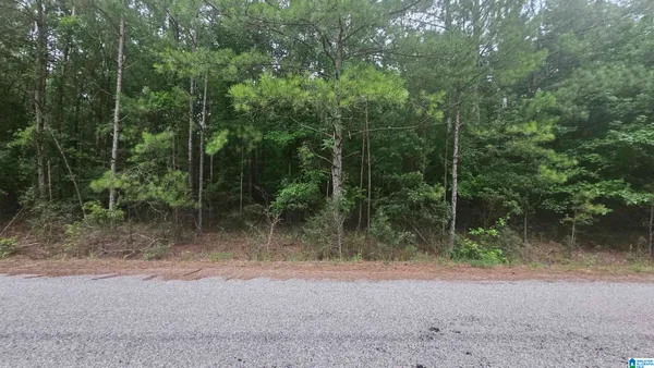 $25,000 | 518 County Road, Selma, AL 36701