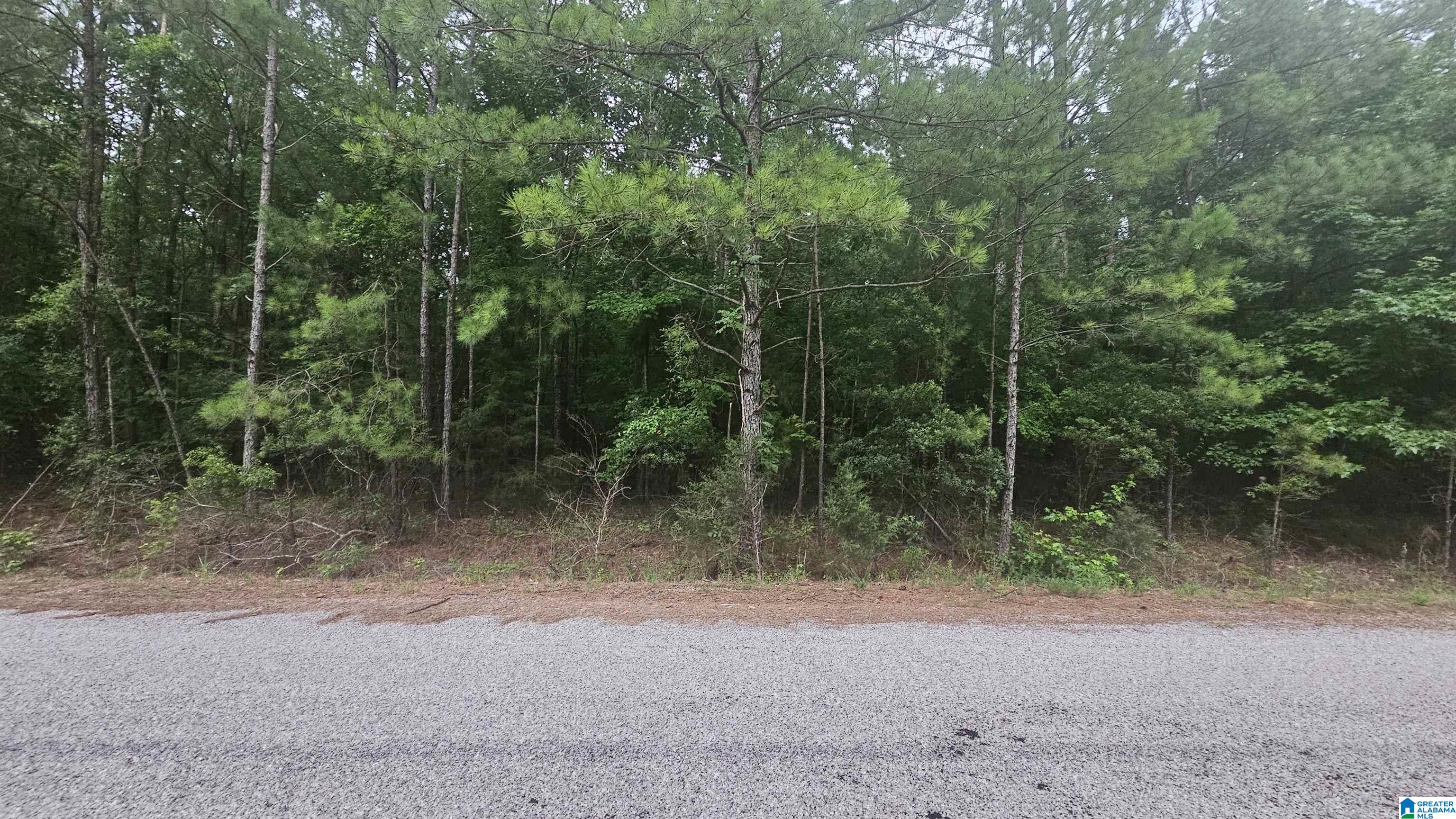 518 County Road Selma, AL 36701 - Photo 1 of 3