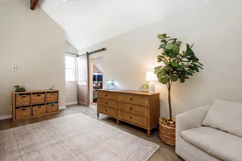 a living room with furniture and a potted plant