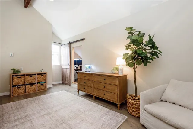 a living room with furniture and a potted plant