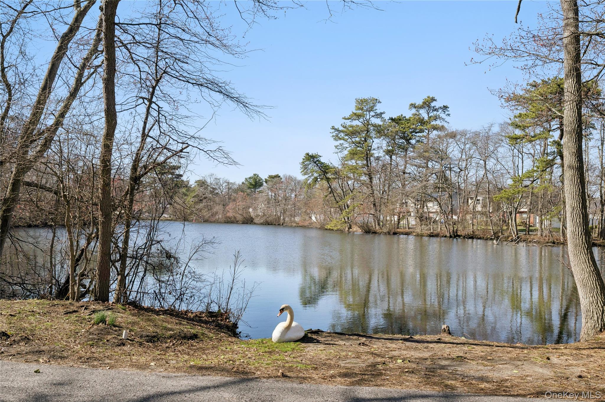 44 Archie Place West Islip, NY 11795 - Photo 23 of 36 a view of a wooden bench next to a lake