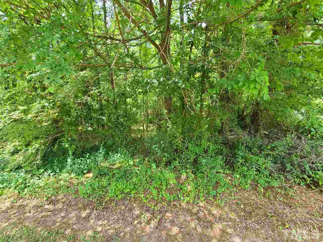 0 Richardson Road Castalia, NC 27816 - Photo 3 of 3 Gallery Image 3