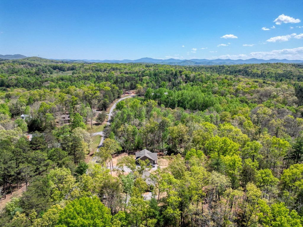 1347 John Smith Road East Blairsville, GA 30512 - Photo 46 of 47