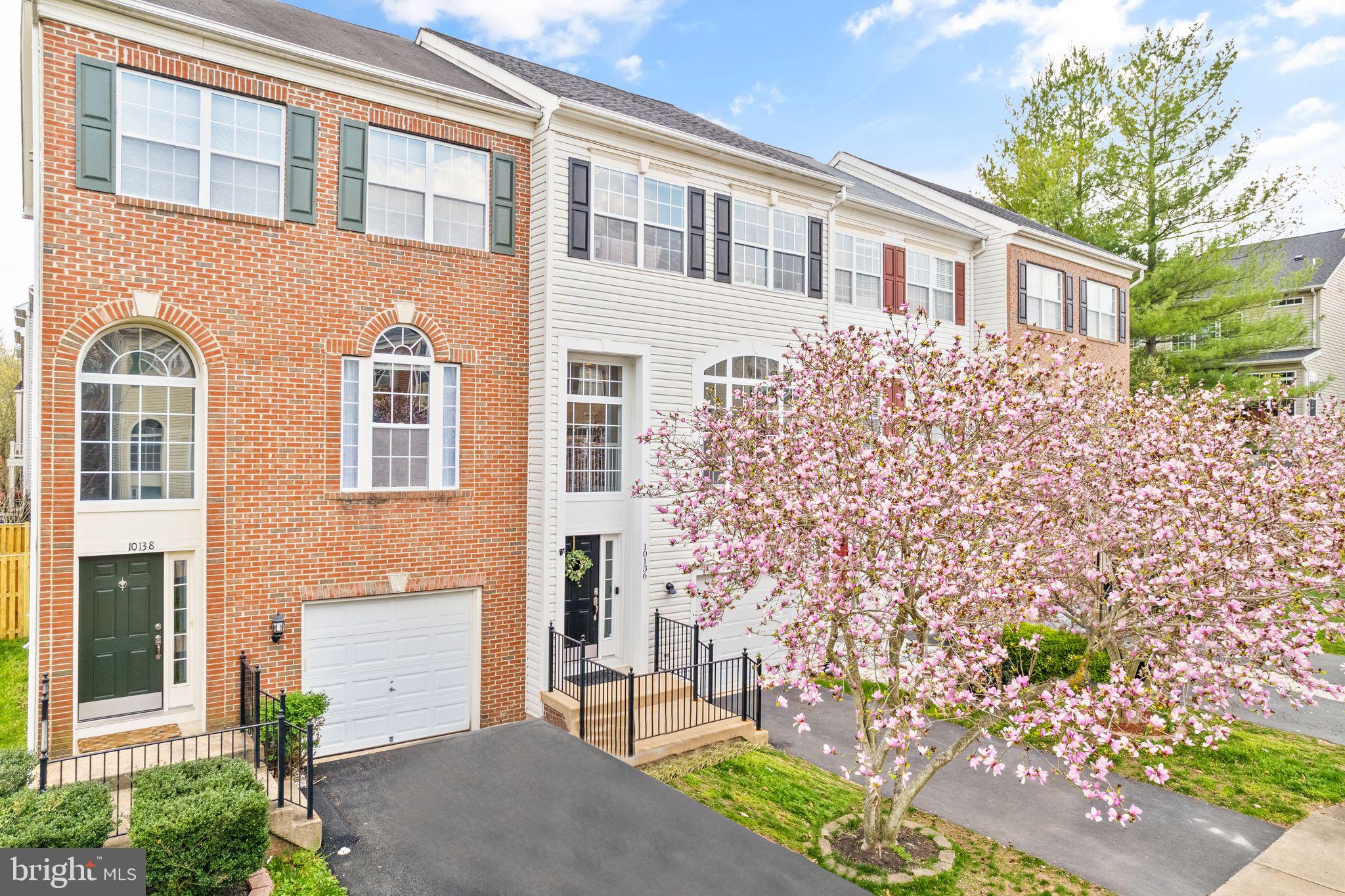 10136 Pale Rose Loop Bristow, VA 20136 - Photo 4 of 64