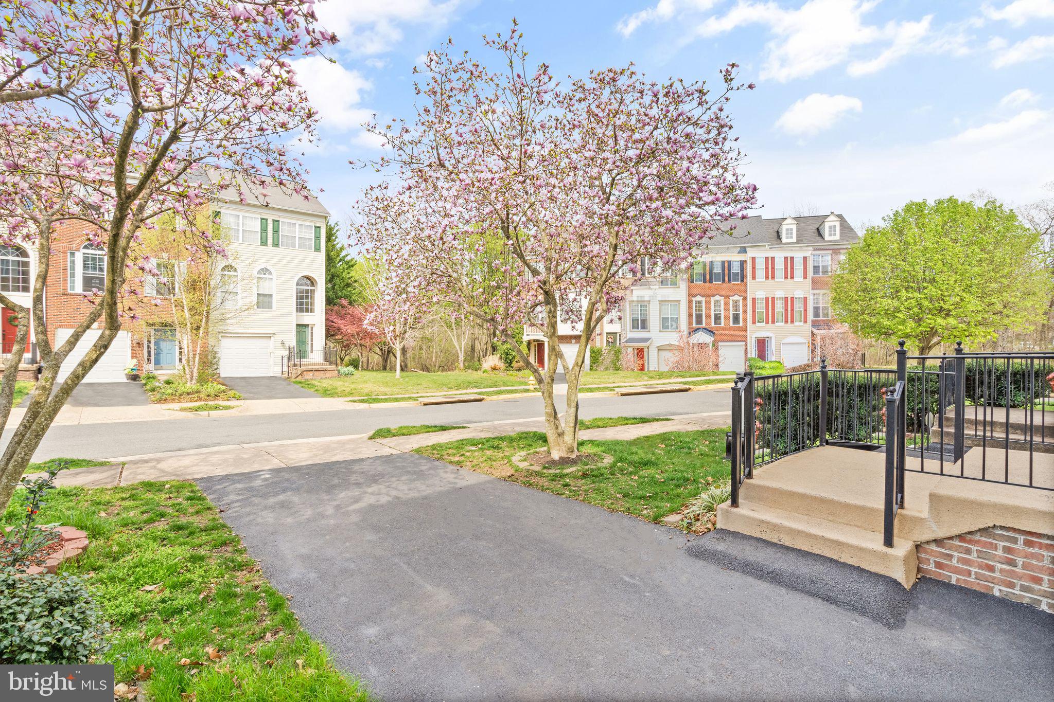 10136 Pale Rose Loop Bristow, VA 20136 - Photo 5 of 64