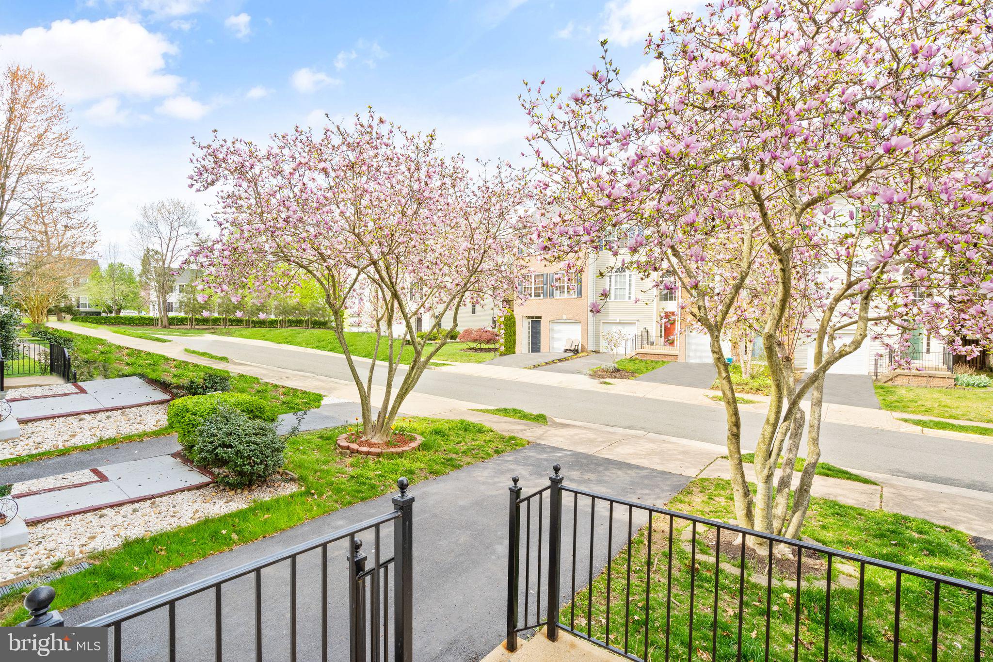 10136 Pale Rose Loop Bristow, VA 20136 - Photo 7 of 64