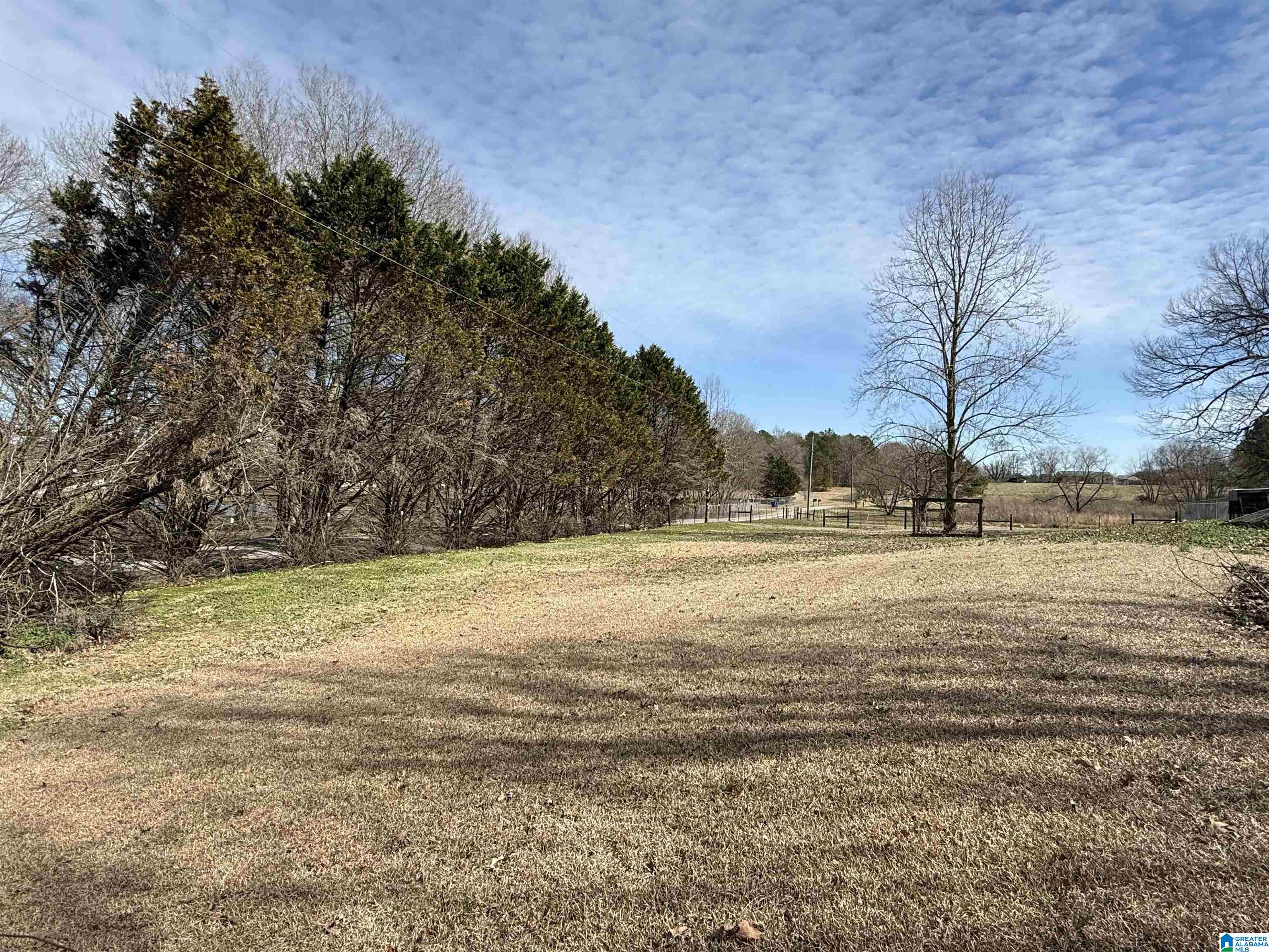 344 Wow Road Blountsville, AL 35031 - Photo 11 of 26 Gallery Image 11