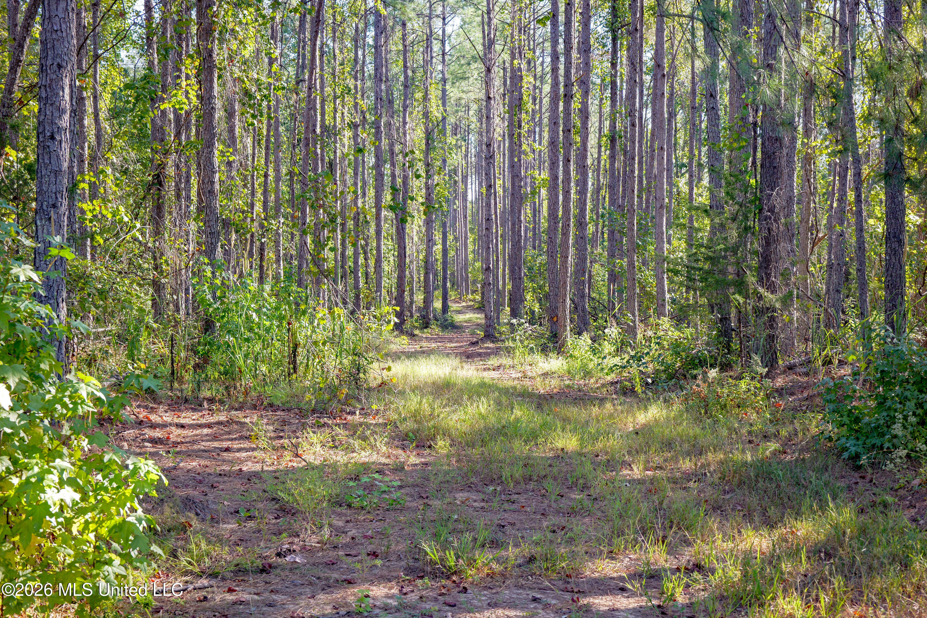 2000 Deer Creek Road Batesville, MS 38606 - Photo 36 of 54 Gary Woody Property (39)