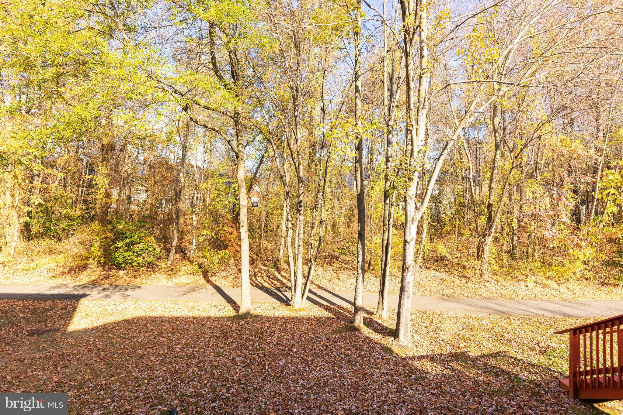 232 Night Haven Court Edgewater, MD 21037 - Photo 28 of 39 a view of yard