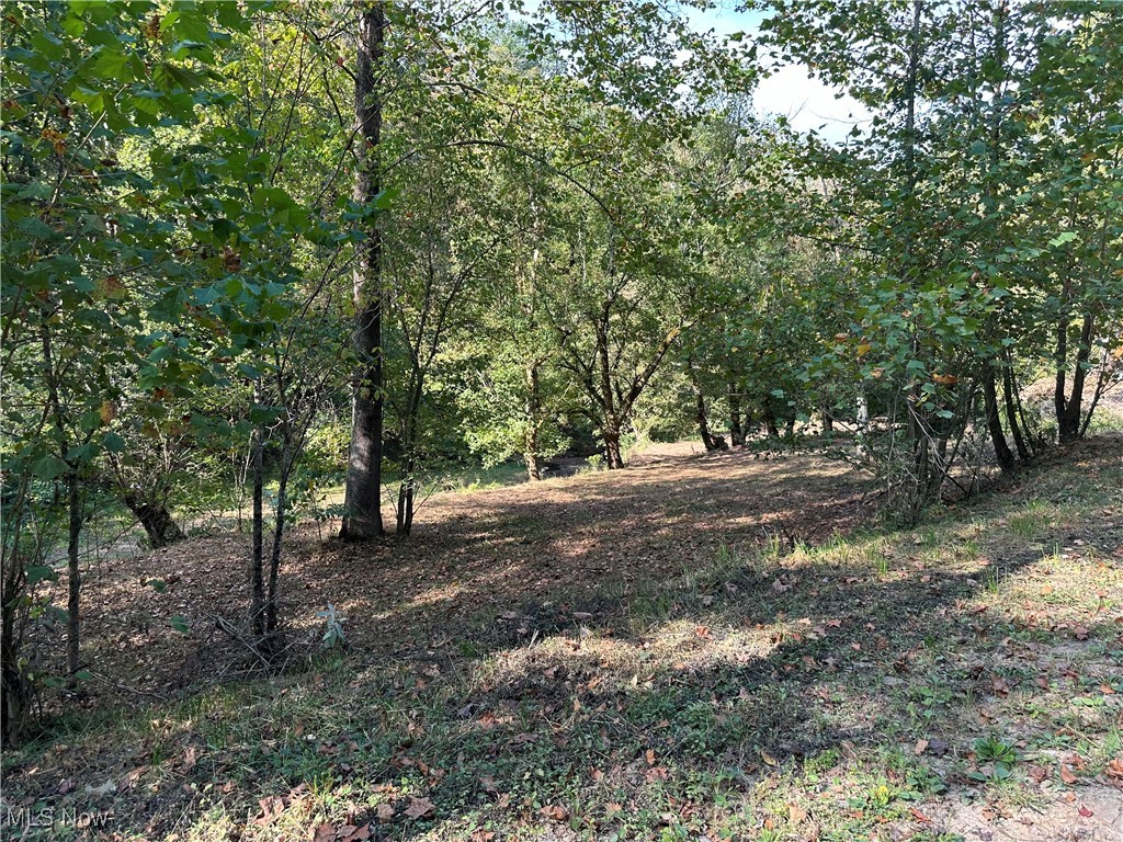 1 River Road Walton, WV 25286 - Photo 12 of 22