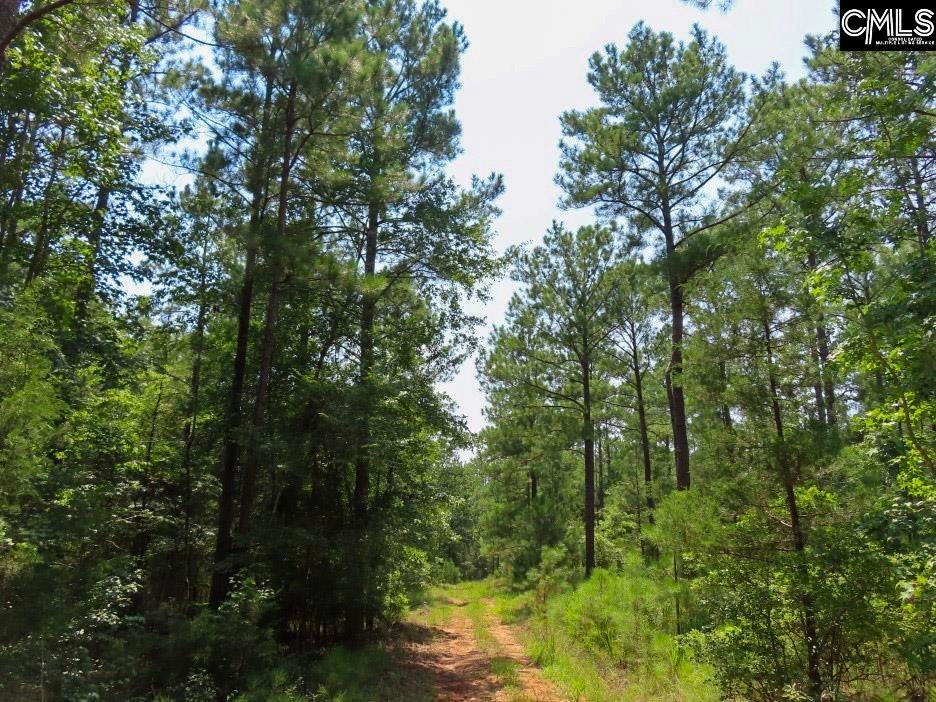 0 Landis Road Winnsboro, SC 29180 - Photo 23 of 83 Gallery Image 23