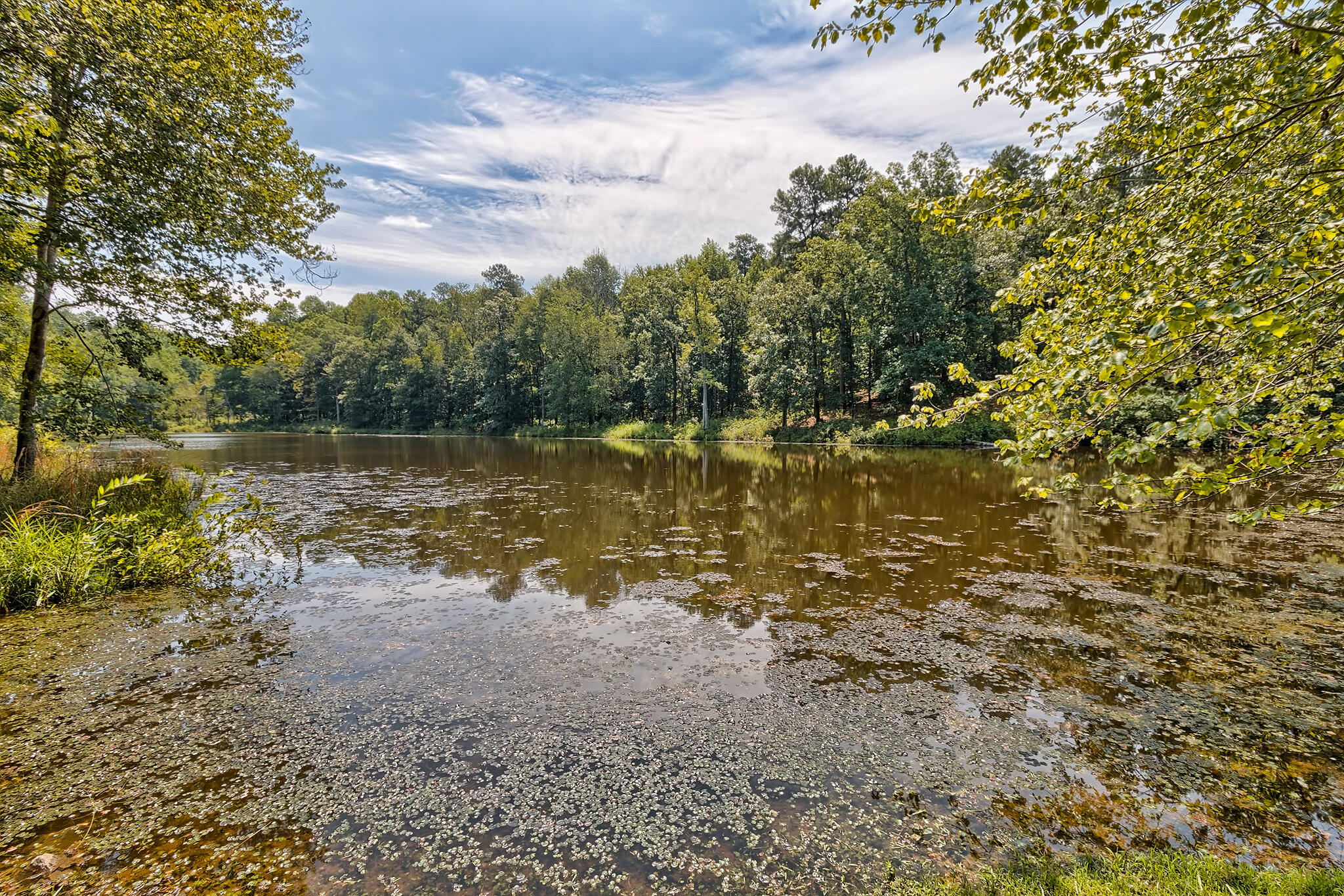 1290 Richardsons Lake Road Aiken, SC 29803 - Photo 65 of 101