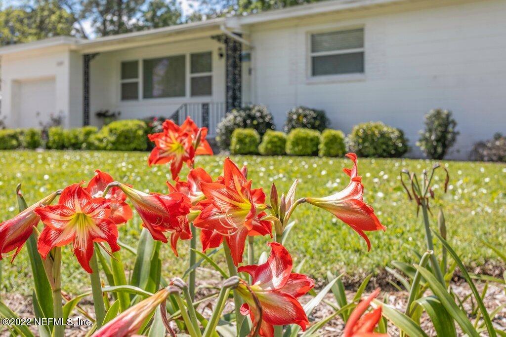 2828 Adele Road Jacksonville, FL 32216 - Photo 5 of 42 Front View 5